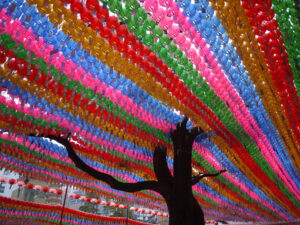 colorful cover above a tree