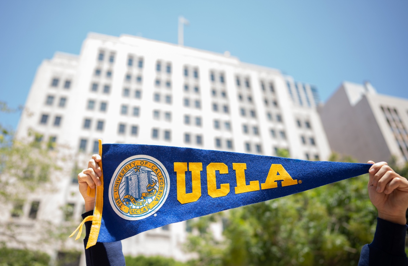 person holding ucla flag