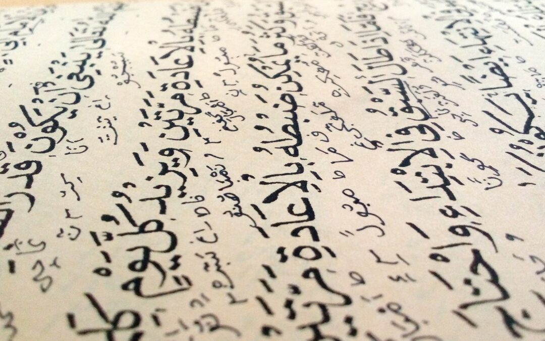hindi urdu language
