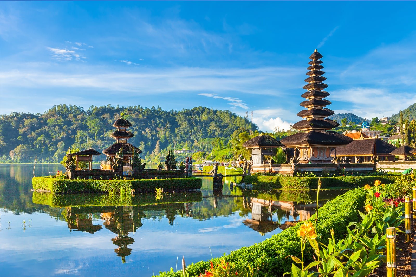 Indonesia field and water